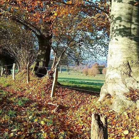 Frenes B&B Bed & Breakfast