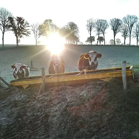 Frenes B&B Bed & Breakfast Frenes