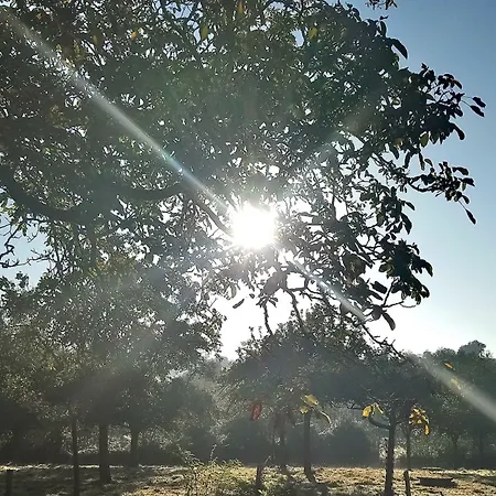 Bed & Breakfast Frenes B&B