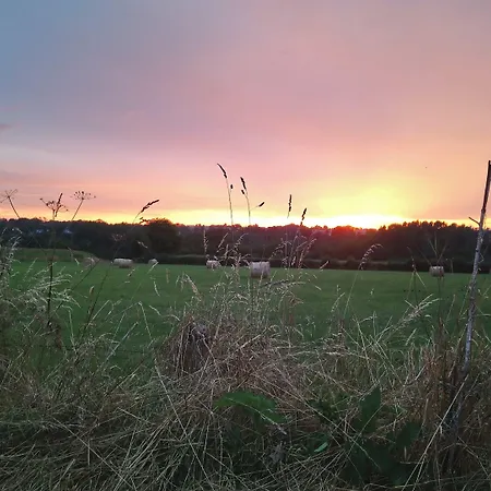 Frenes B&B Bed & Breakfast 3*