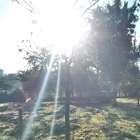 De Pansiyon