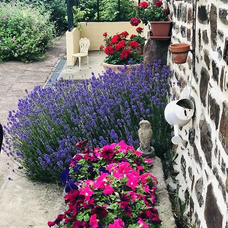 Frenes B&B Bed & Breakfast 3*