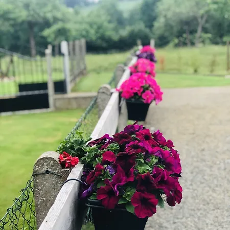 Frenes B&B Bed & Breakfast