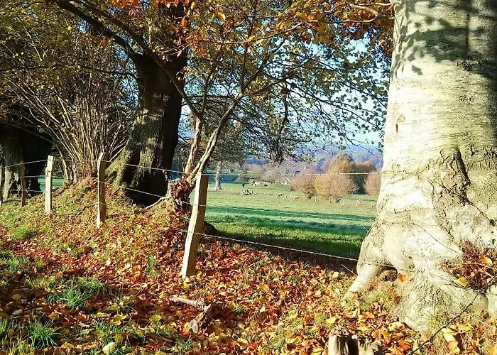 Frenes B&B Nocleg ze śniadaniem