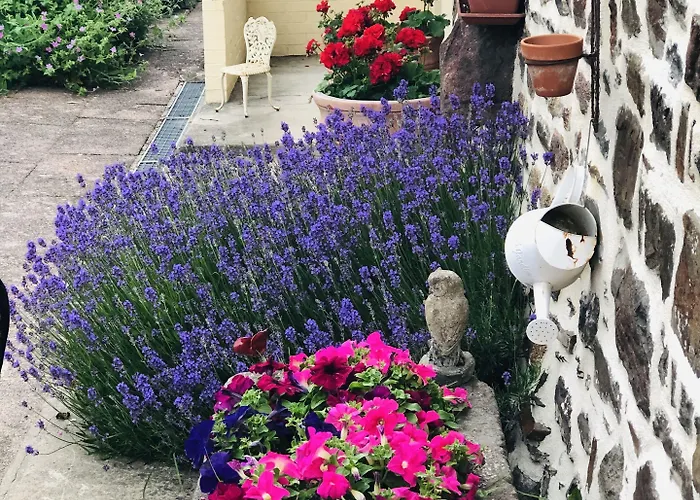 Frenes B&B Nocleg ze śniadaniem 3*